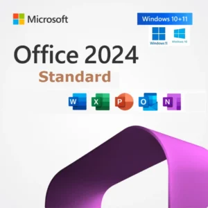 Aplication Microsoft Office 2024